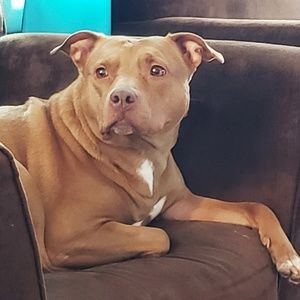 Meet your Posher, April